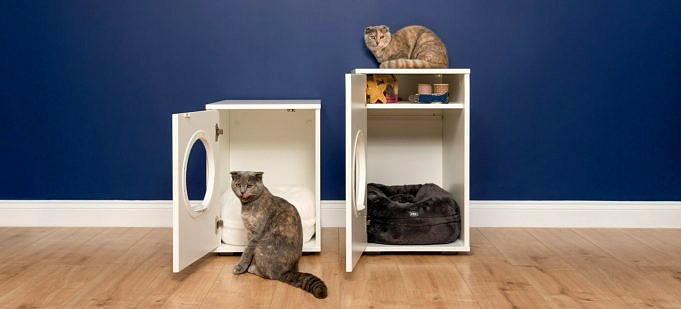 Waarom Zouden Katten De Voorkeur Geven Aan Gesloten Kattenbakken Om Kattenbakken Te Openen?